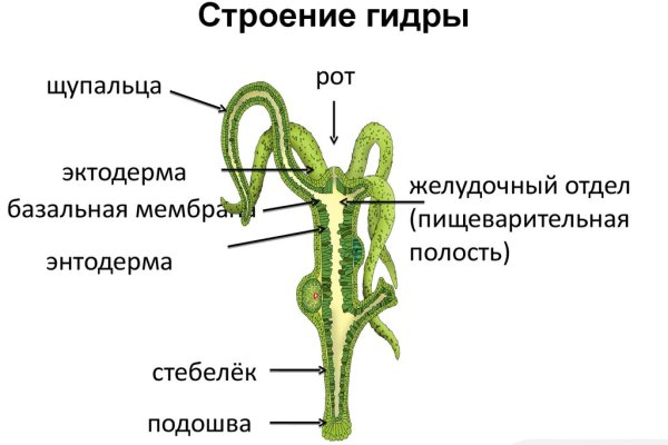 Kraken market ссылка