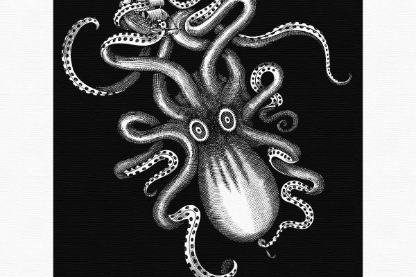 Kraken19at