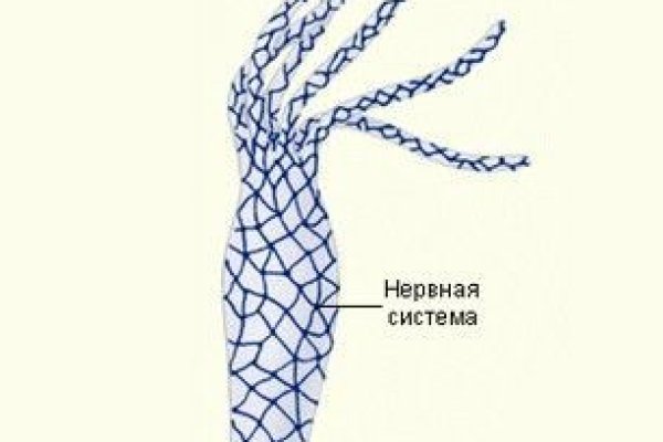 Забыл пароль кракен