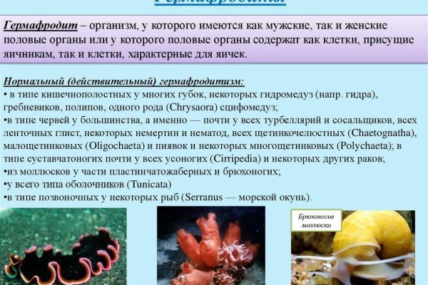 Пользователь не найден кракен даркнет