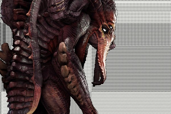 Www kraken 20at net