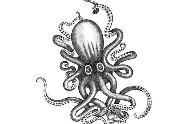 Kraken market зеркала