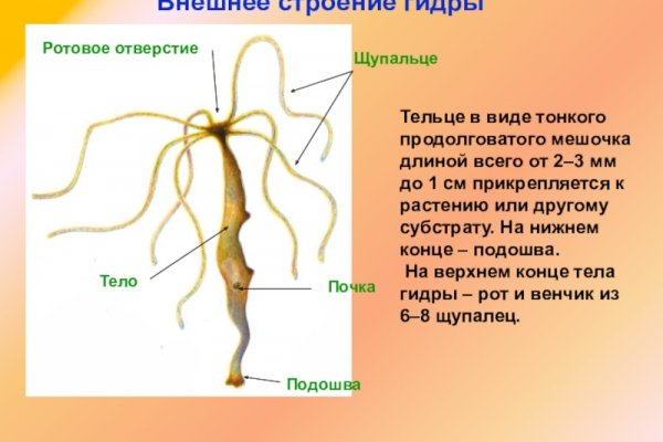 Кракен ссылка 2web krakendark link