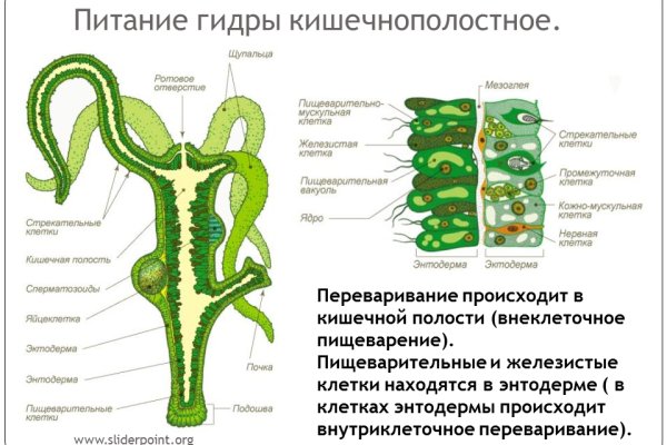 Как пополнять кракен тор