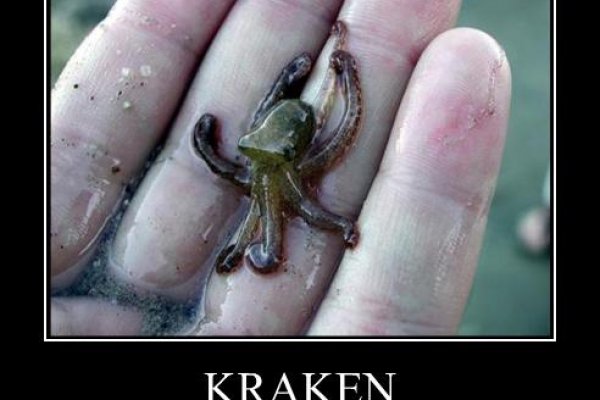 Kraken 12 at