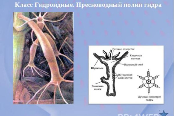 Скачать кракен тор
