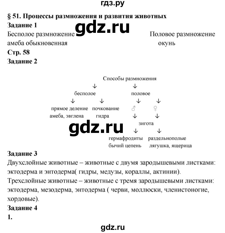 Кракен даркнет что известно