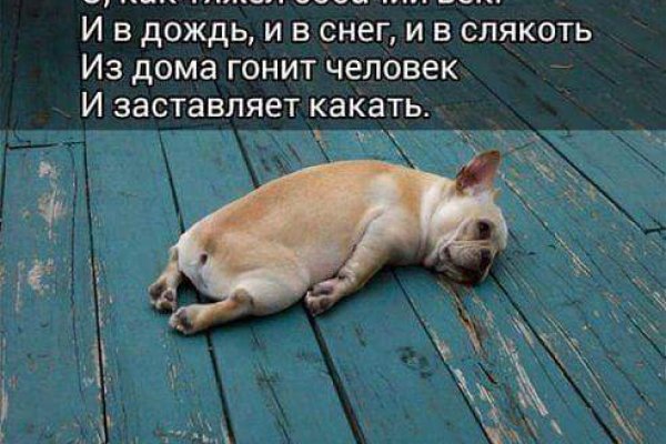 Как открыть ссылку с кракена