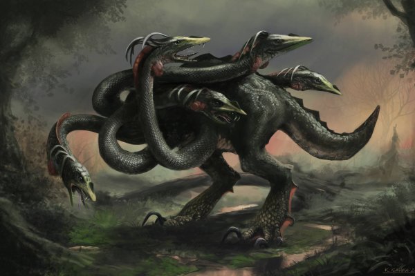 Kraken 13 at com